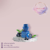 تندرکر ( بالم محافظت کننده) اوریفلیم بلوبری