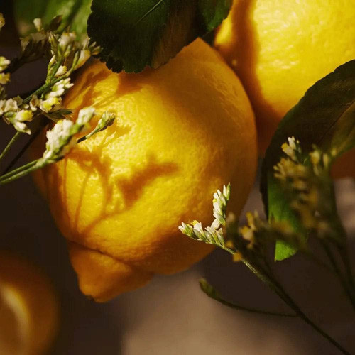 ریفیل شستشوی دست و بدن با
